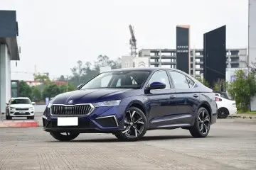 Hot Sale Skoda Octavia Luxury Version 5 Seats Gasoline Car